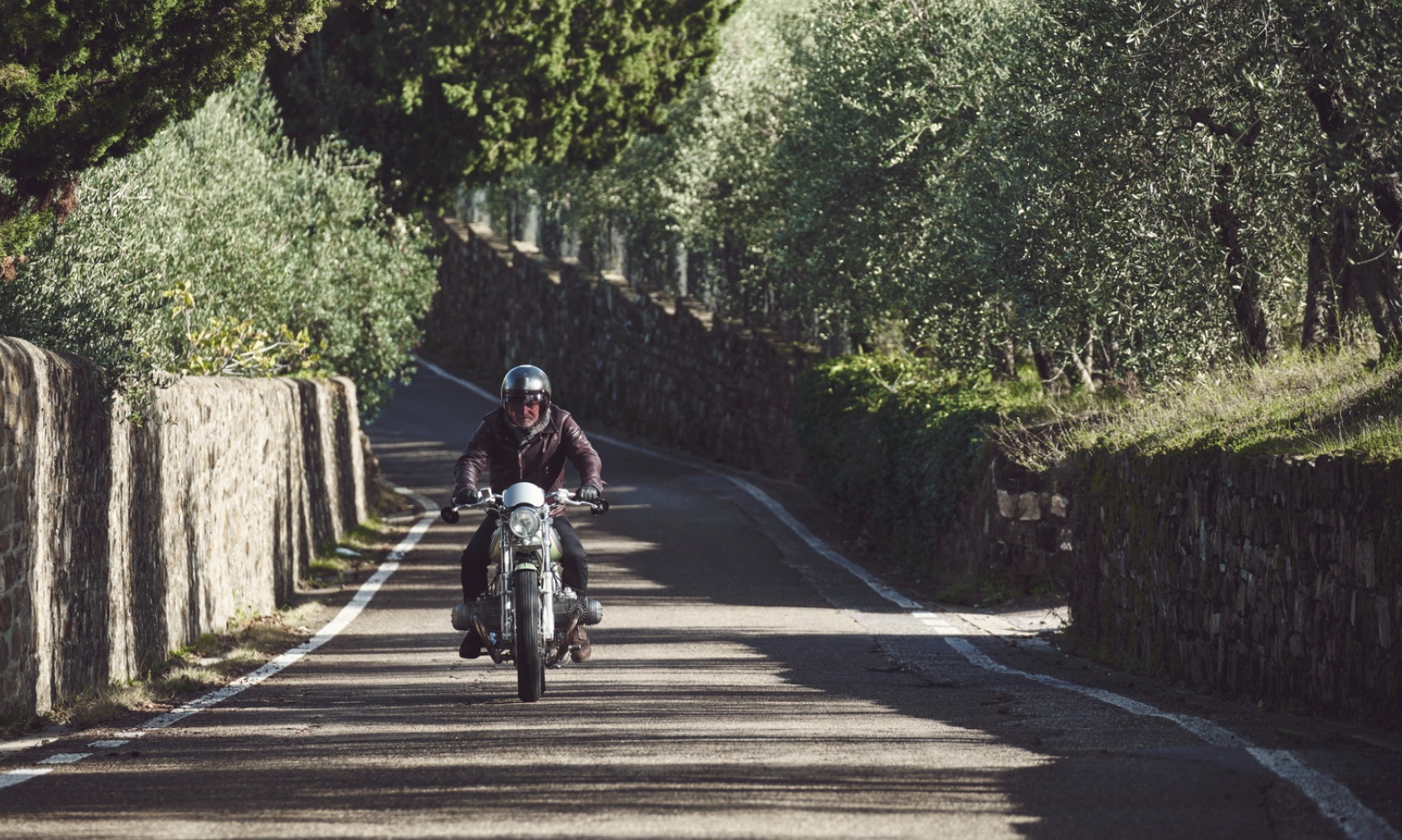 Renard R100